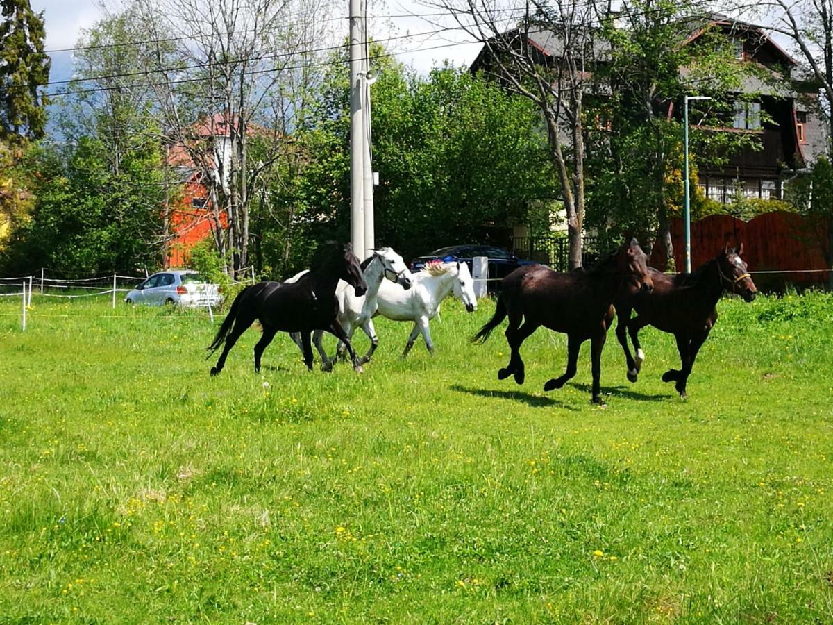 Готель Penzion Monty Ranch Vysoke Tatry Штуола Екстер'єр фото